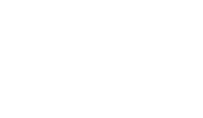 TSE